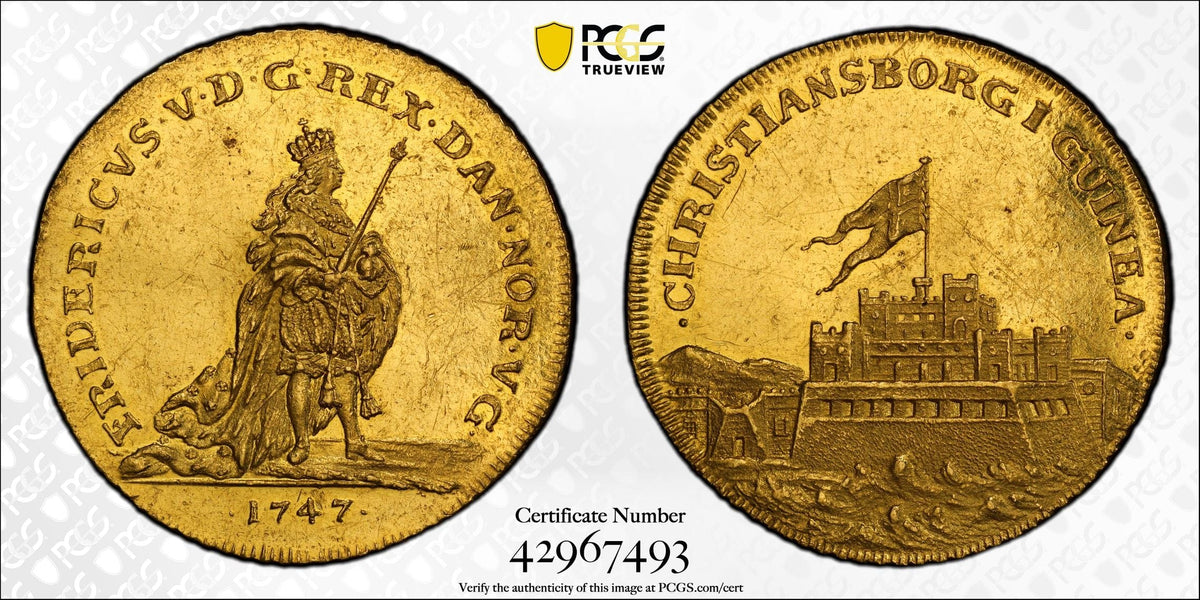 224090918_1200x1200.jpg?v=