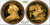 1893年 イギリス ヴィクトリア ヴェールヘッド 5ポンド金貨 PCGS PR63DCAM