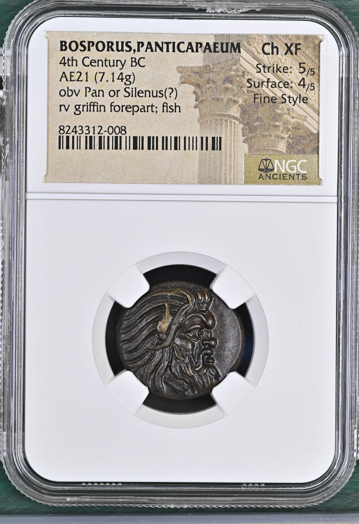紀元前4世紀 ボスポラス パンティカパイオン AE21 NGC Ch XF 5/5 - 4/5 Fine Style