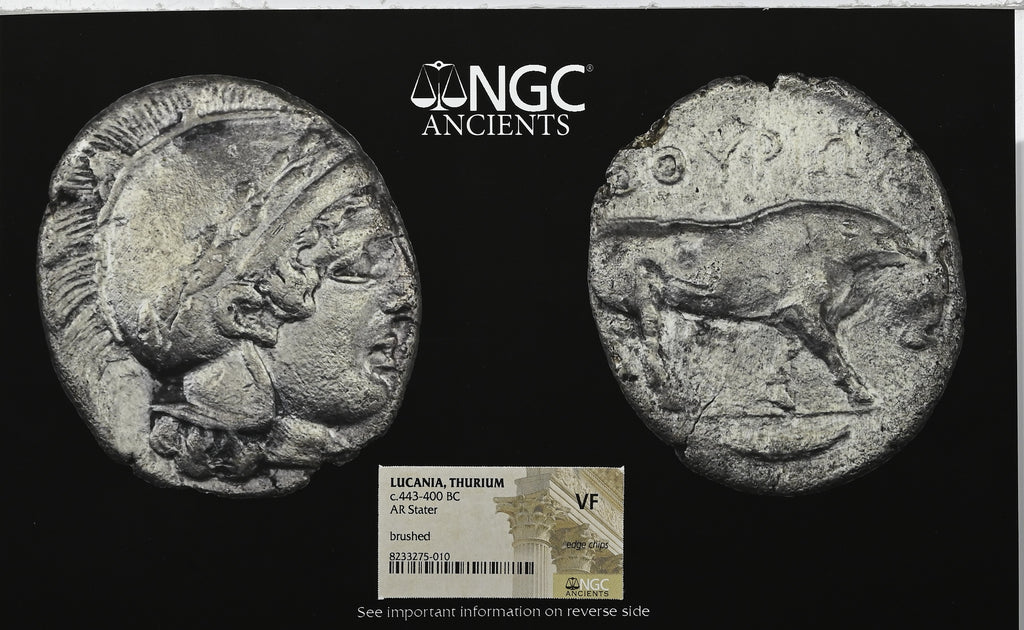 紀元前443-400年 古代 ルカニア地方 トゥリウム ステーター銀貨 NGC VF edge chips ※NGC Photo Certificate付きのためコインはスラブに入っておりません