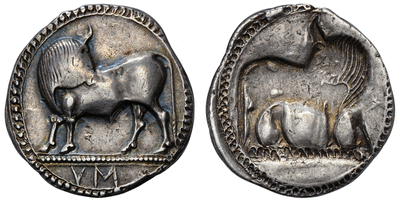 kosuke_dev 古代ギリシャ ルカニア ステーター 銀貨 紀元前550-510年 NGC Ch. VF★
