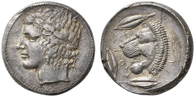 【NGC MS】古代ギリシャ シチリア島 レオンチニ テトラドラクマ 紀元前430-420年 美品