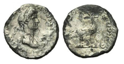 kosuke_dev ローマ帝国 フラウィウス朝 ドミティアヌス 81-96年 デナリウス貨 美品