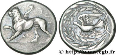 kosuke_dev 古代ギリシャ シキュオーン ステーター 紀元前335-330年 美品
