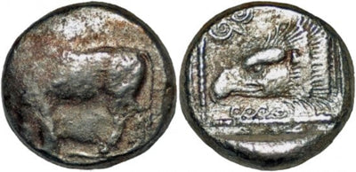 kosuke_dev 古代ギリシャ キプロス パフォス BC510-480年 ステーター 銀貨 美品